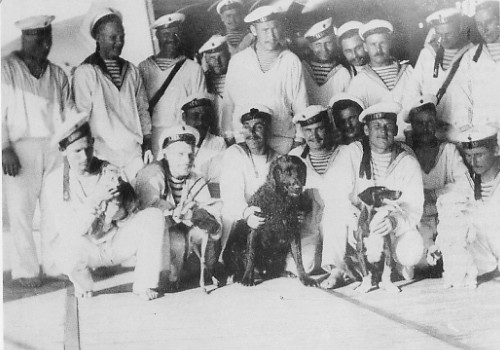 Dogs on Russian warship