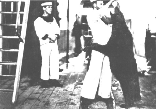 A large bear on British warship